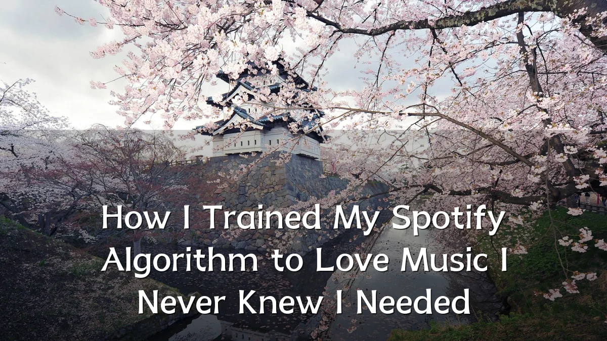 How I Trained My Spotify Algorithm to Love Music I Never Knew I Needed