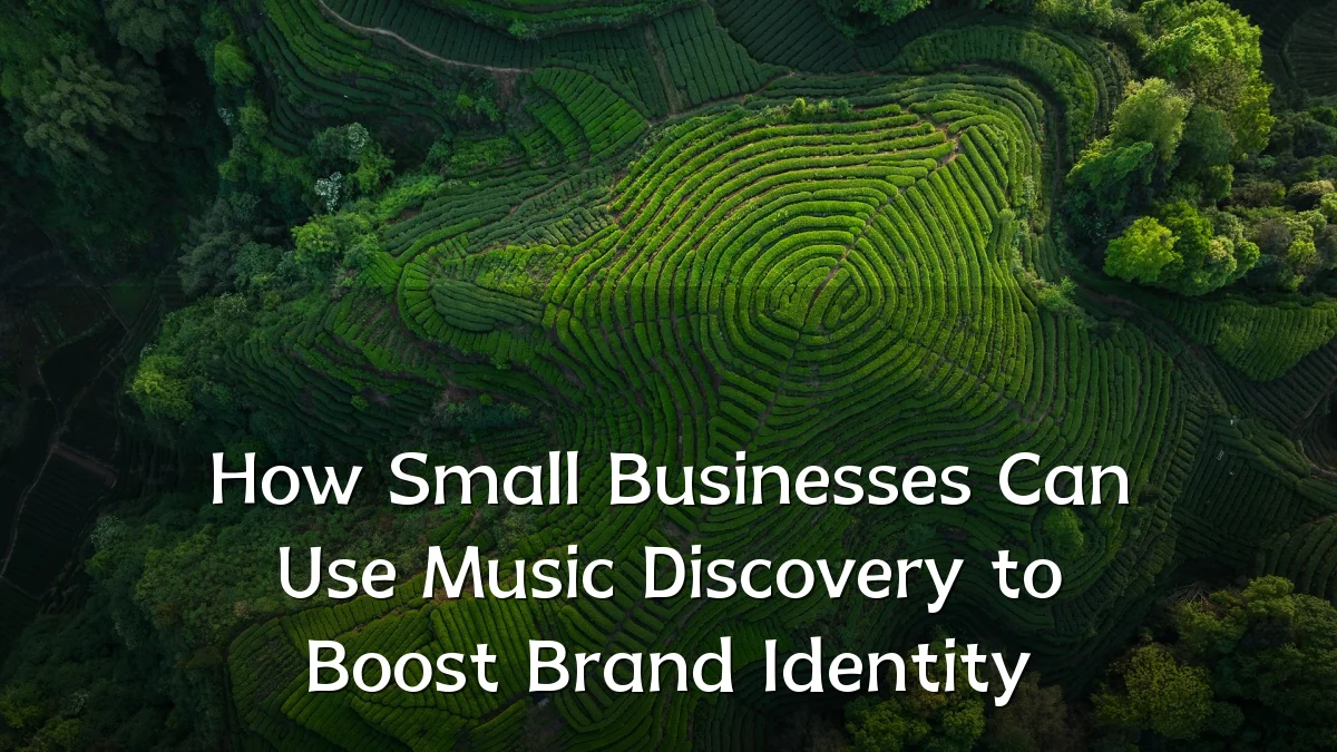 How Small Businesses Can Use Music Discovery to Boost Brand Identity
