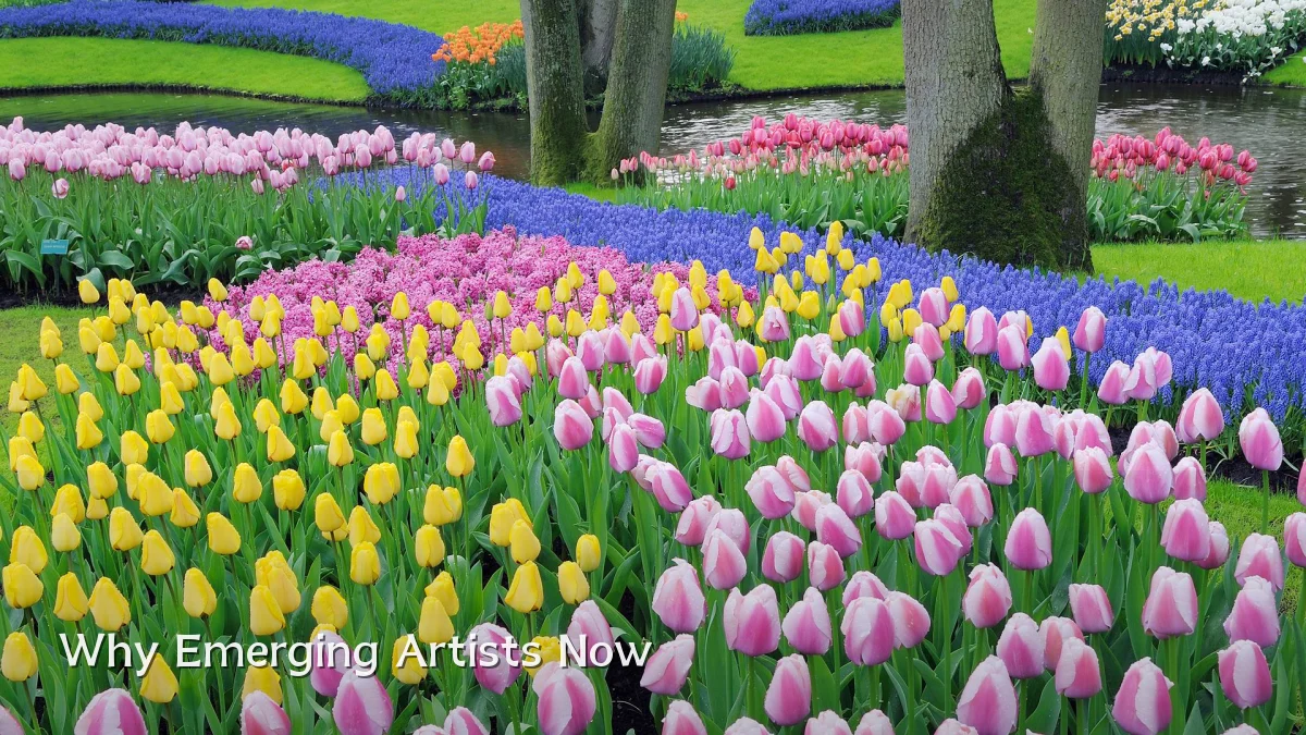 Why Emerging Artists Now