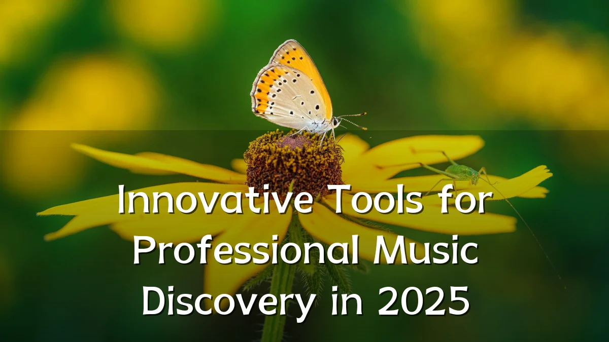 Innovative Tools for Professional Music Discovery in 2025