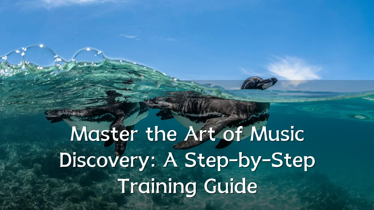 Master the Art of Music Discovery: A Step-by-Step Training Guide