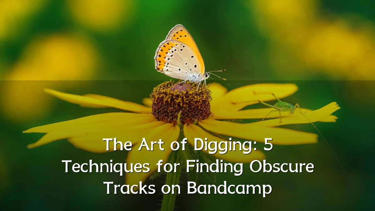 The Art of Digging: 5 Techniques for Finding Obscure Tracks on Bandcamp