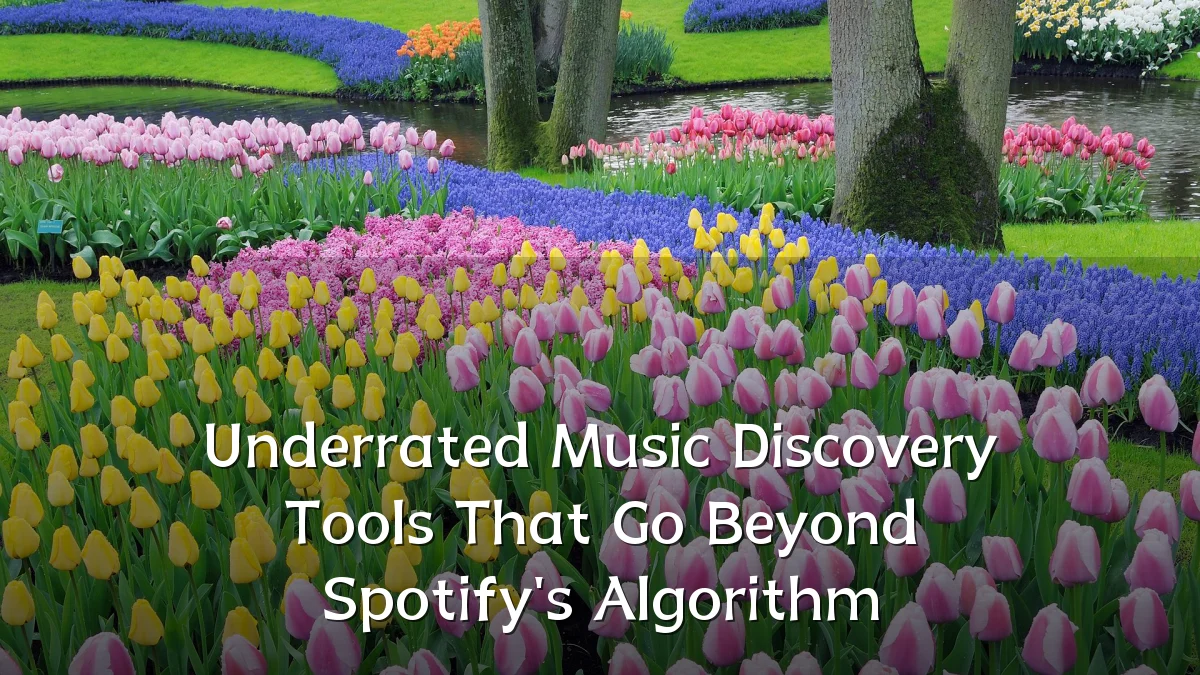 Underrated Music Discovery Tools That Go Beyond Spotify's Algorithm