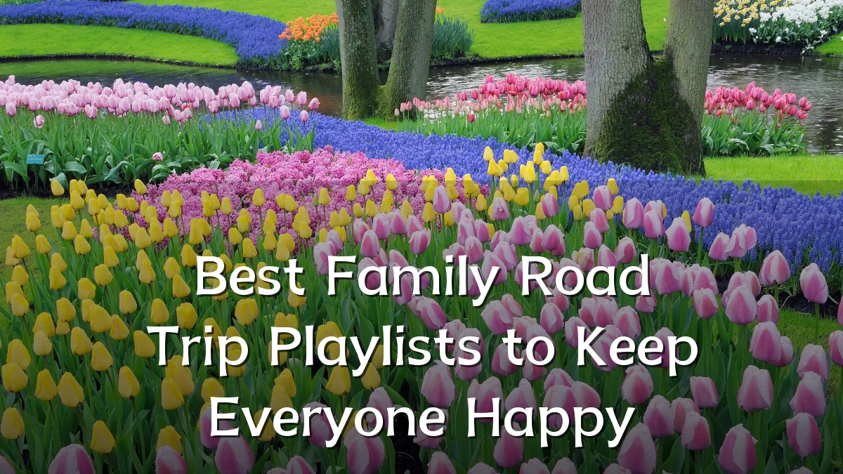 Best Family Road Trip Playlists to Keep Everyone Happy