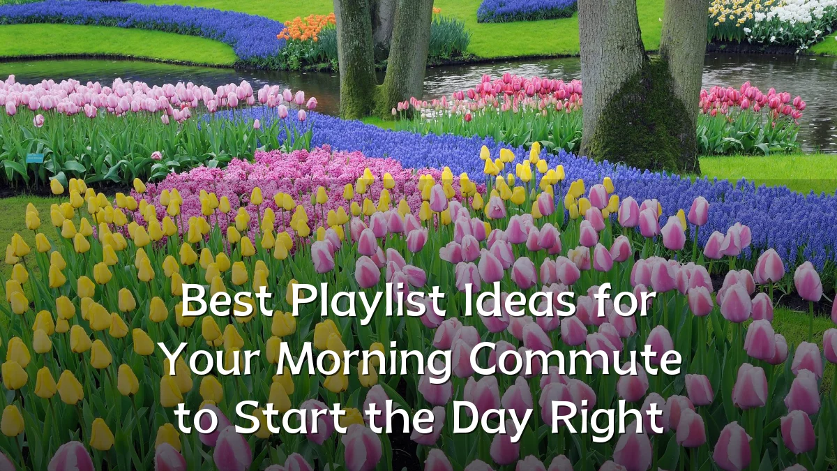 Best Playlist Ideas for Your Morning Commute to Start the Day Right