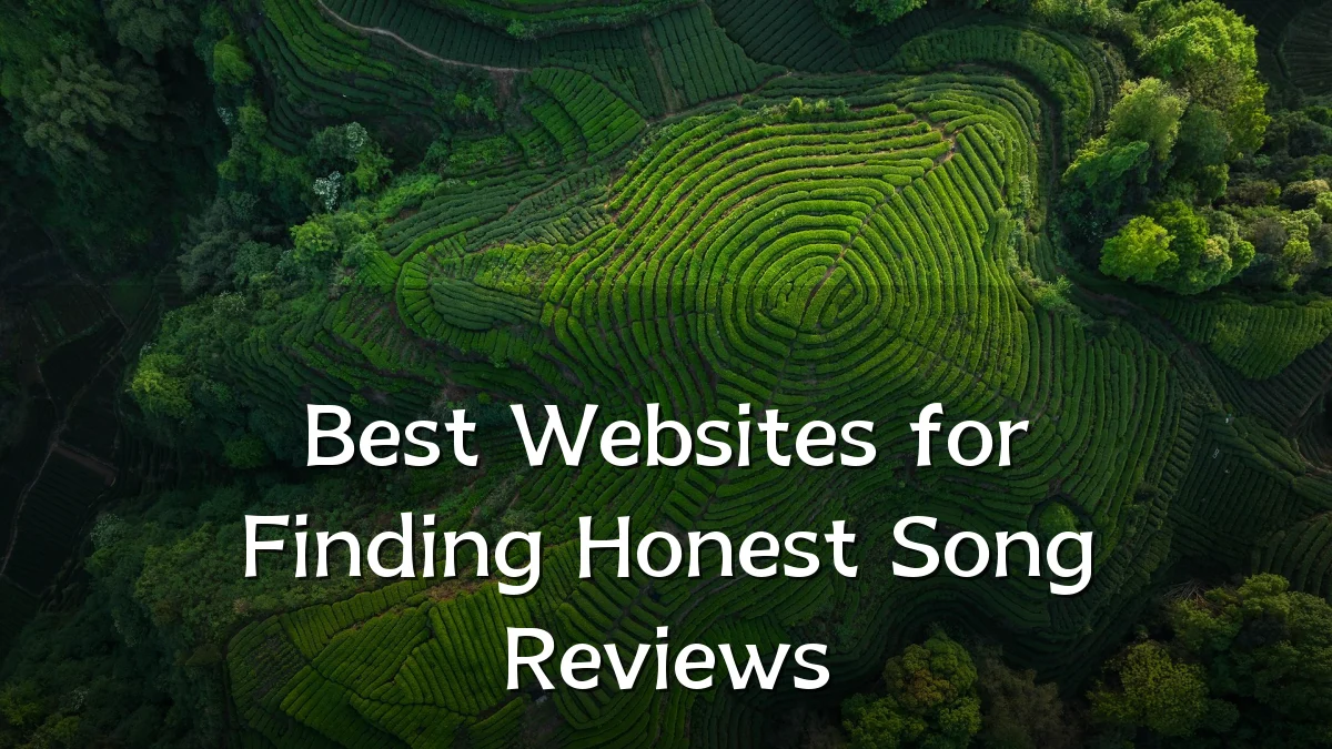Best Websites for Finding Honest Song Reviews