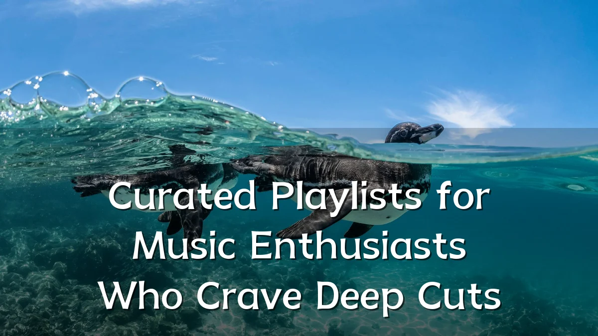 Curated Playlists for Music Enthusiasts Who Crave Deep Cuts