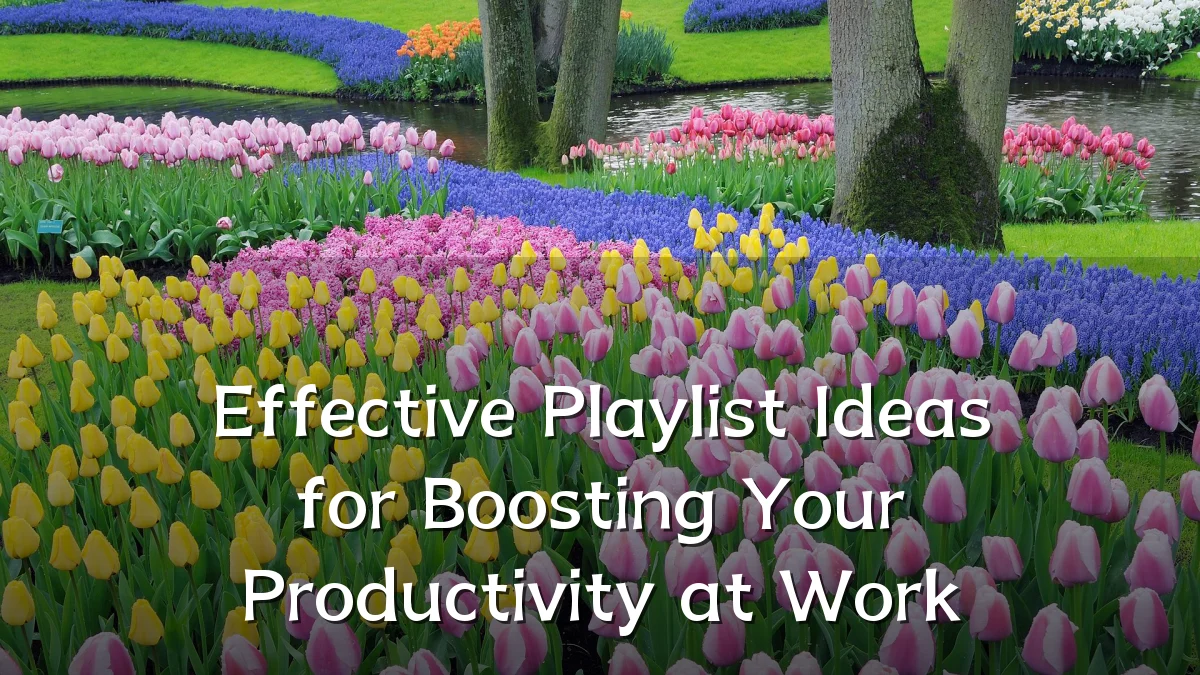 Effective Playlist Ideas for Boosting Your Productivity at Work