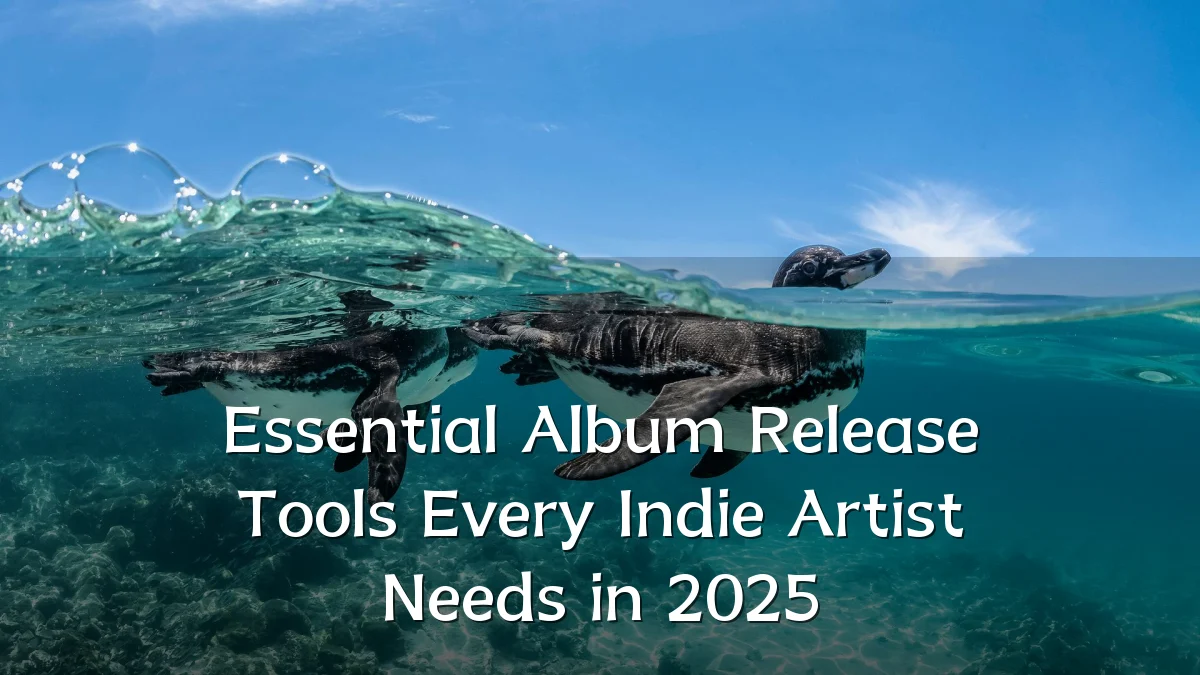 Essential Album Release Tools Every Indie Artist Needs in 2025