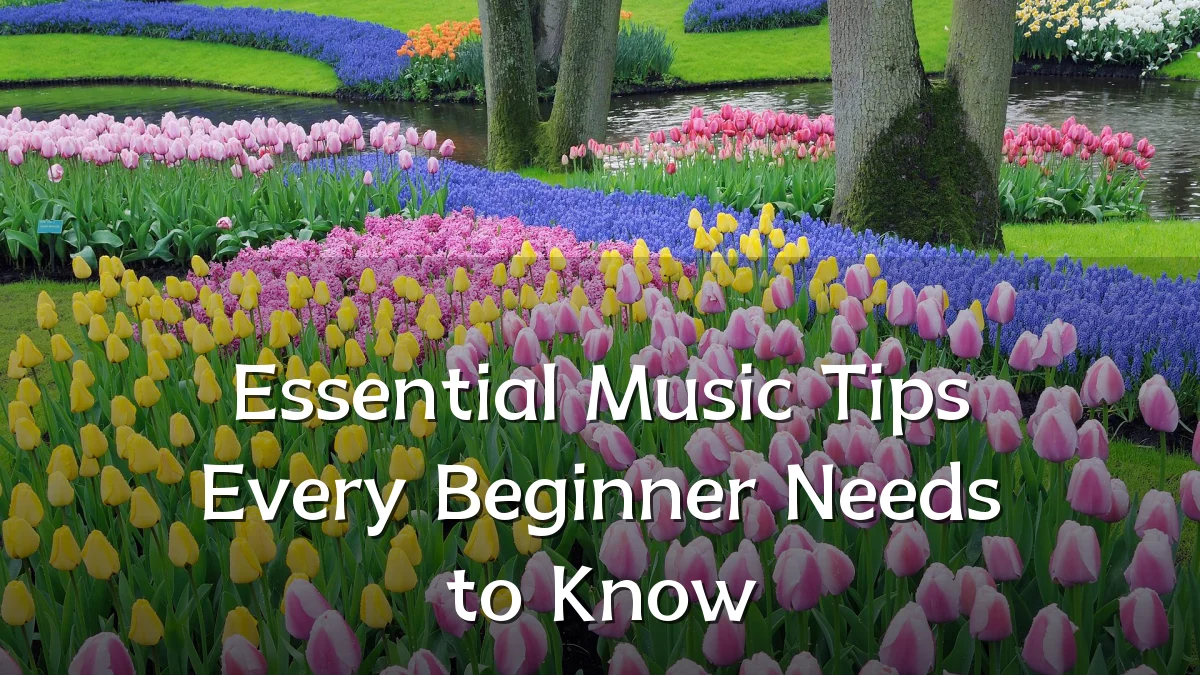 Essential Music Tips Every Beginner Needs to Know