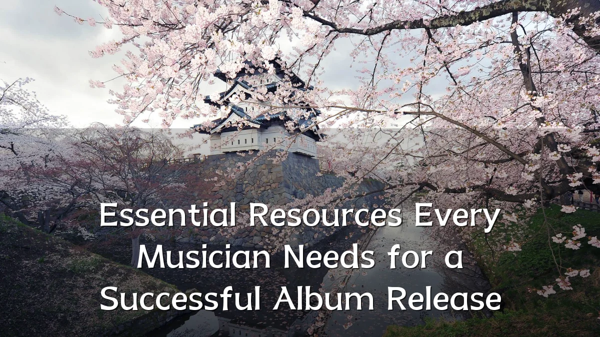 Essential Resources Every Musician Needs for a Successful Album Release