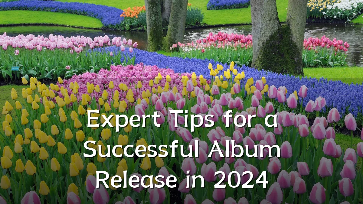 Expert Tips for a Successful Album Release in 2024