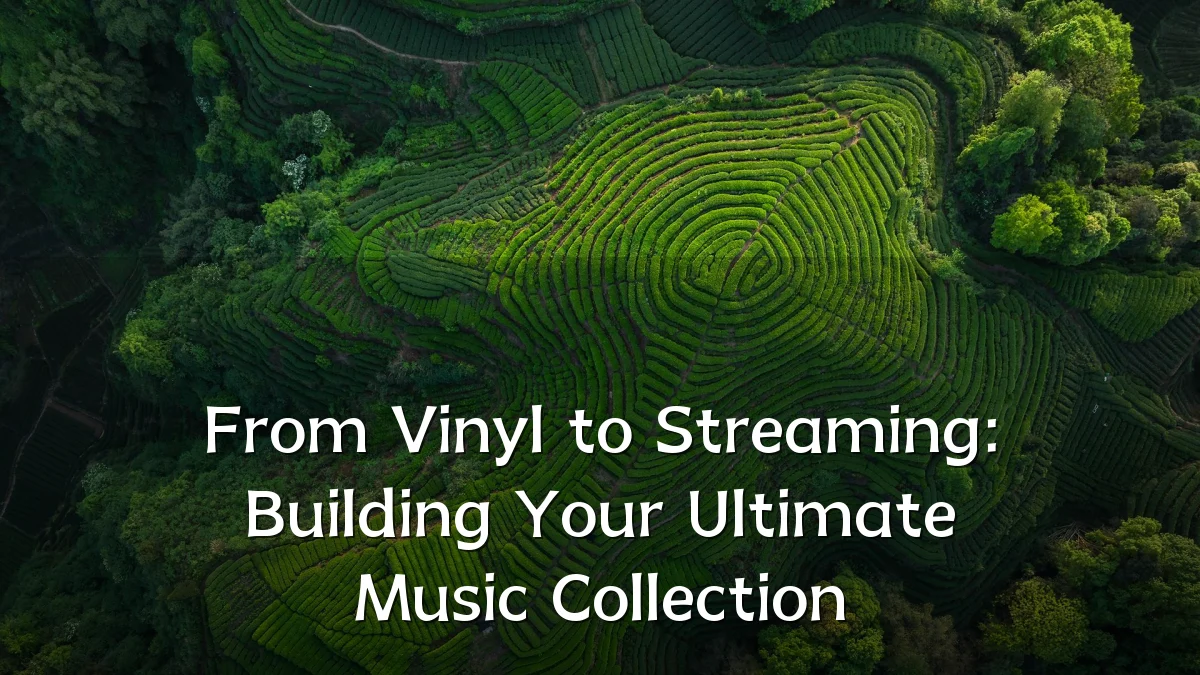From Vinyl to Streaming: Building Your Ultimate Music Collection