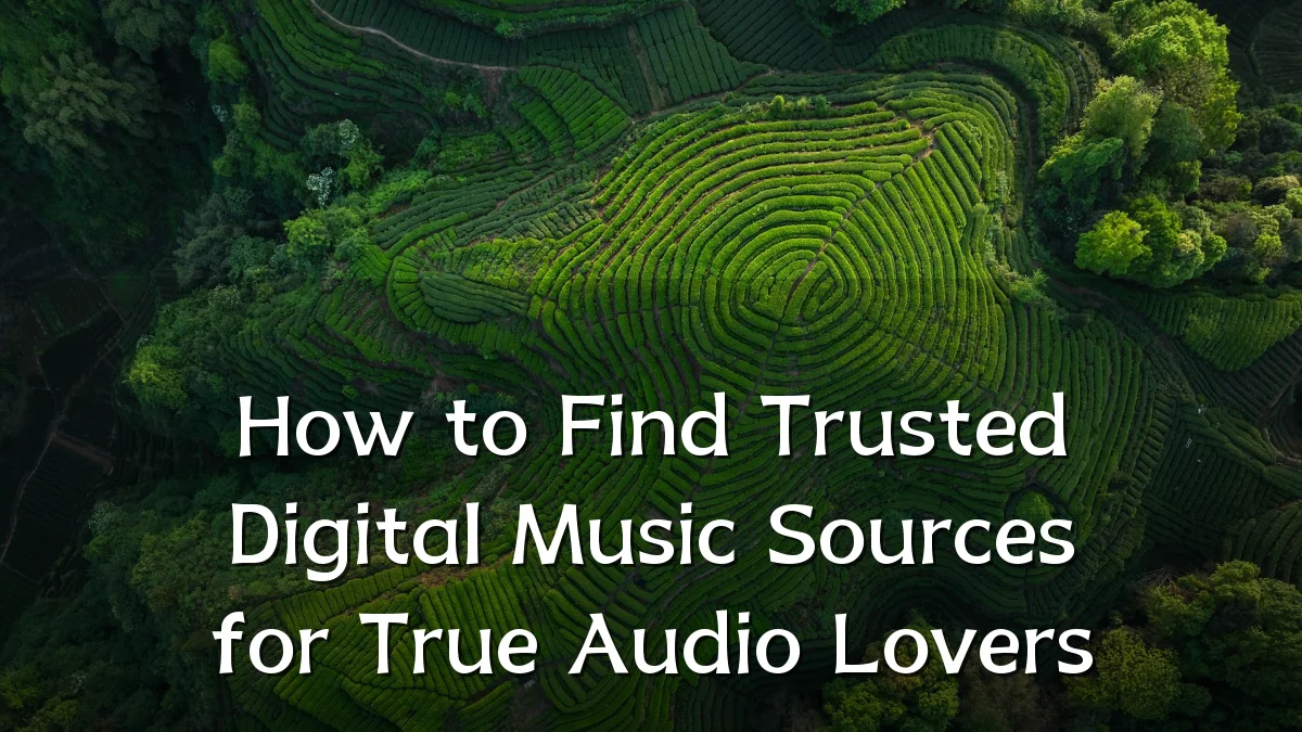 How to Find Trusted Digital Music Sources for True Audio Lovers