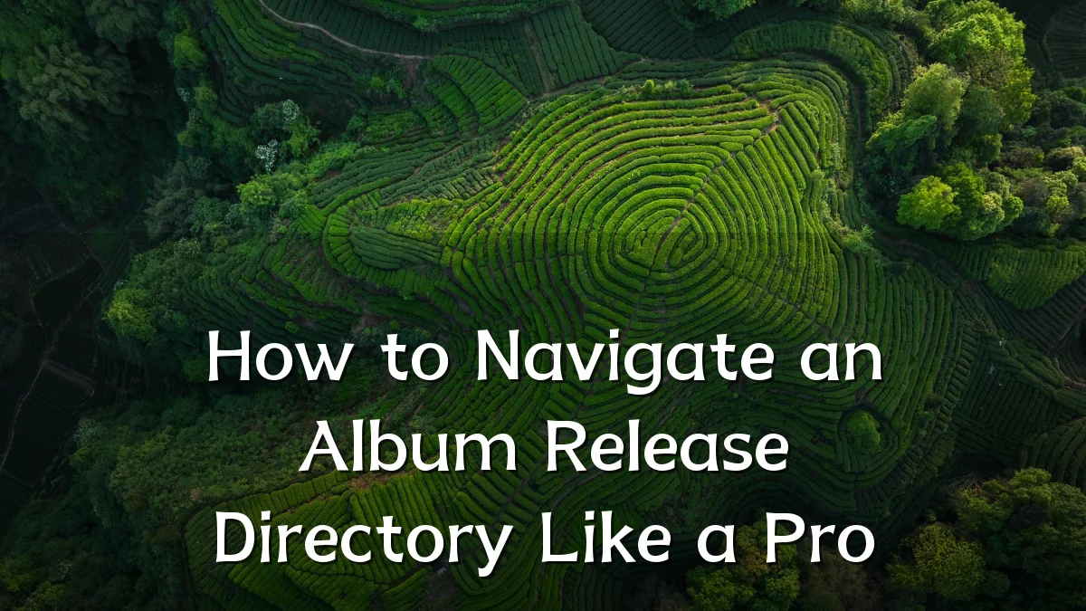 How to Navigate an Album Release Directory Like a Pro