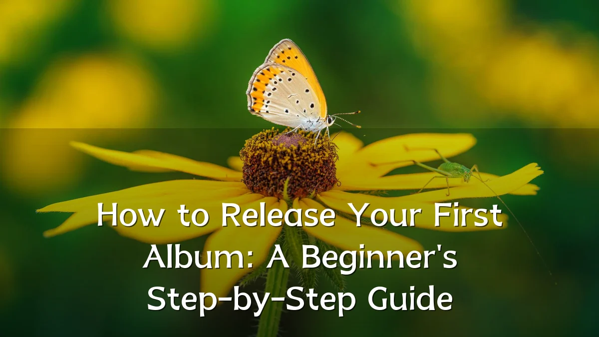 How to Release Your First Album: A Beginner's Step-by-Step Guide