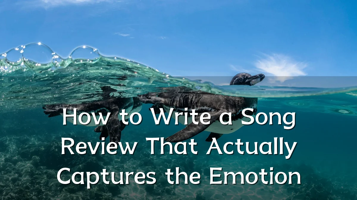 How to Write a Song Review That Actually Captures the Emotion