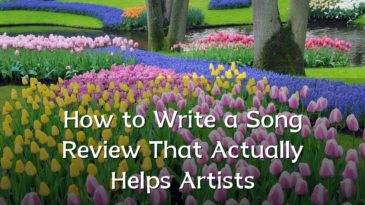 How to Write a Song Review That Actually Helps Artists
