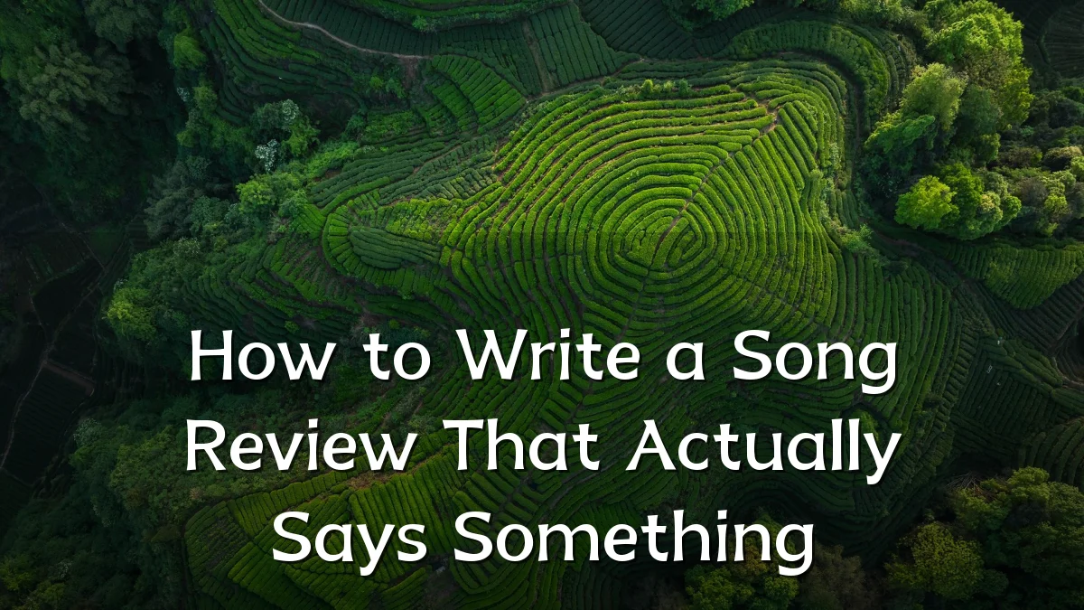 How to Write a Song Review That Actually Says Something