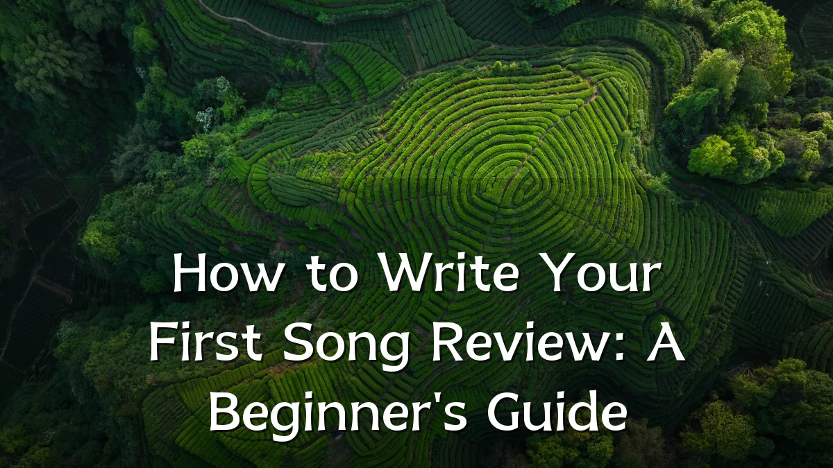How to Write Your First Song Review: A Beginner's Guide