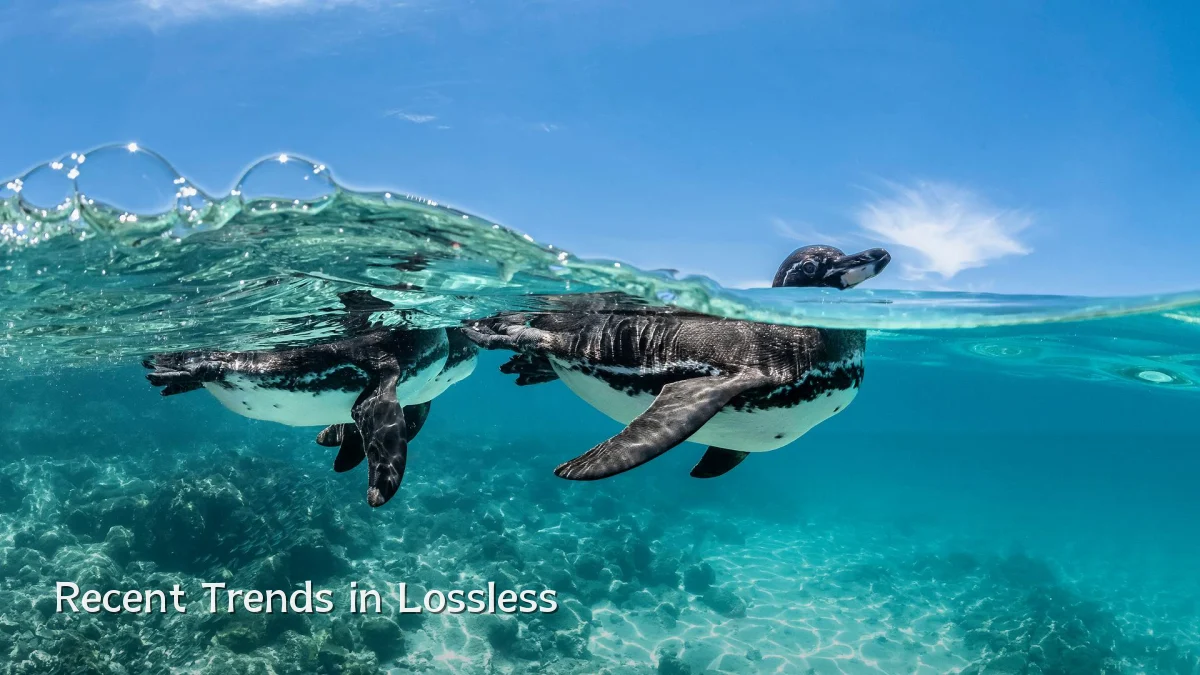 Recent Trends in Lossless