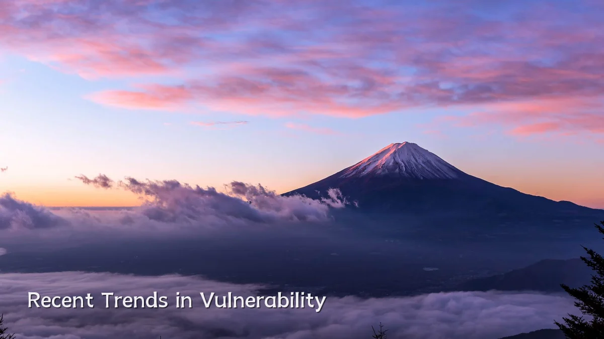 Recent Trends in Vulnerability