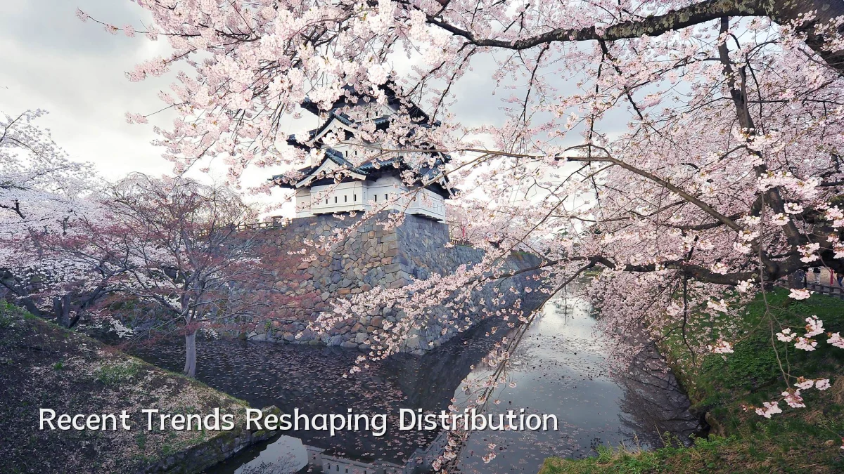 Recent Trends Reshaping Distribution