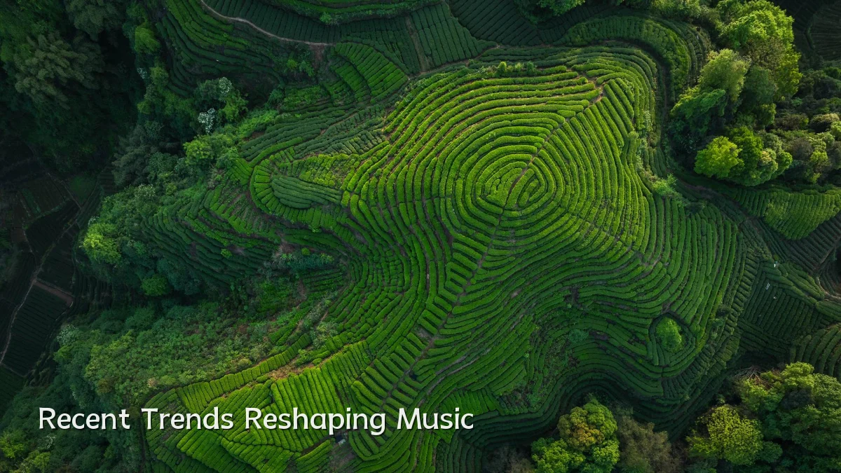 Recent Trends Reshaping Music