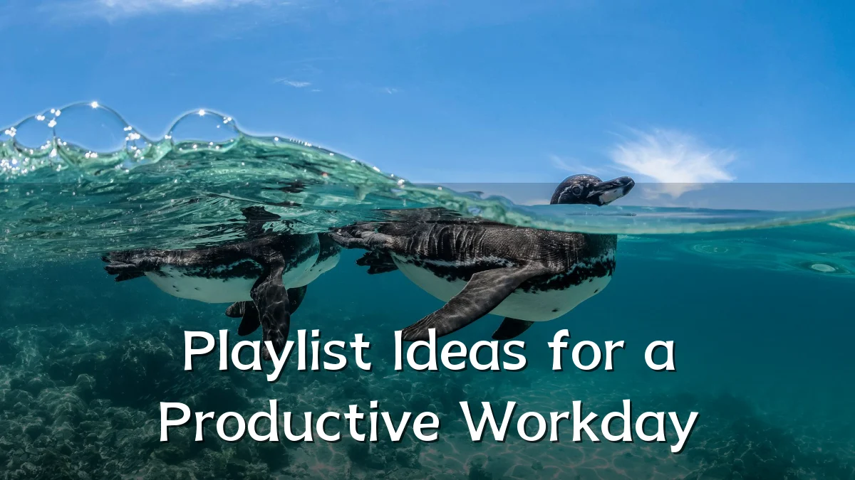 Playlist Ideas for a Productive Workday