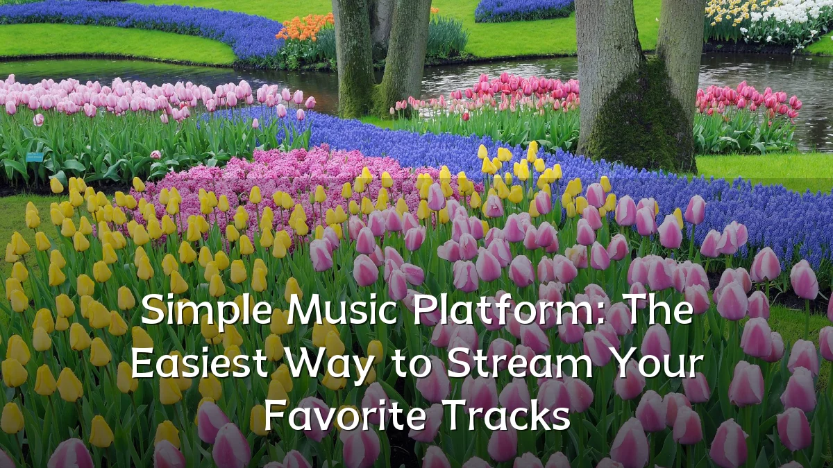 Simple Music Platform: The Easiest Way to Stream Your Favorite Tracks