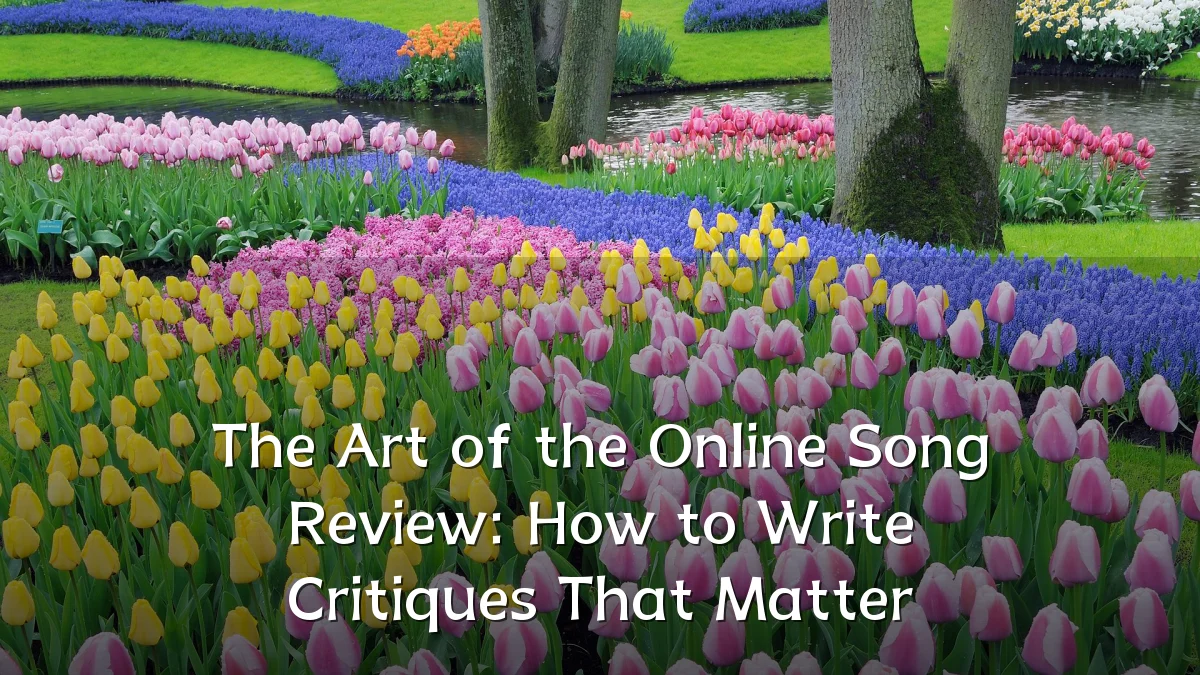 The Art of the Online Song Review: How to Write Critiques That Matter