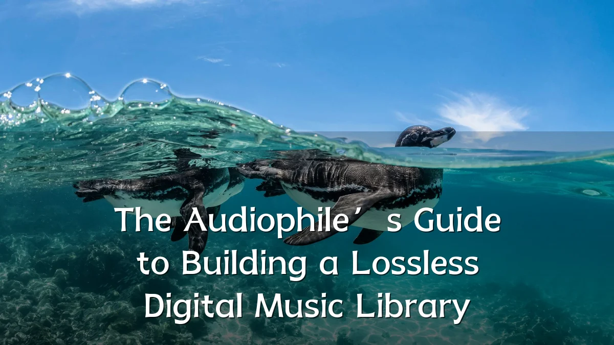 The Audiophile’s Guide to Building a Lossless Digital Music Library