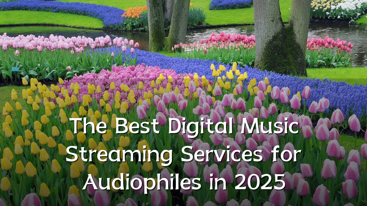 The Best Digital Music Streaming Services for Audiophiles in 2025