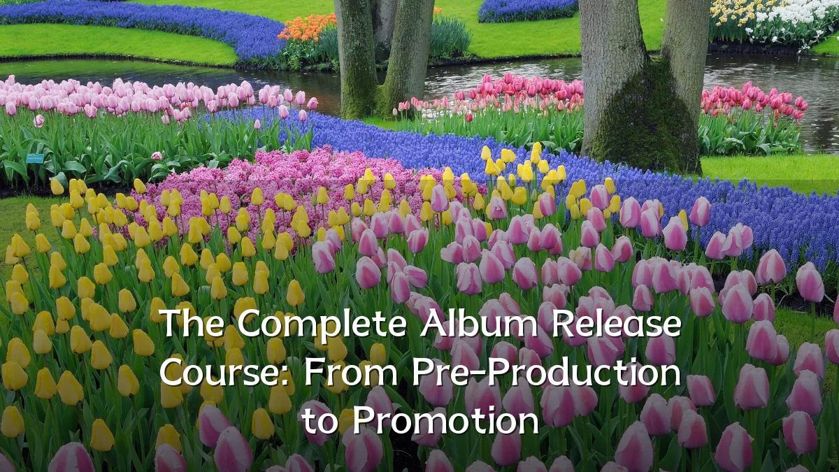 The Complete Album Release Course: From Pre-Production to Promotion