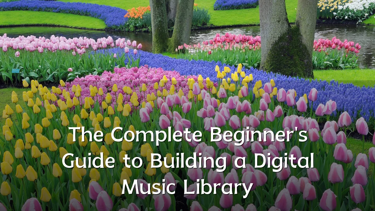 The Complete Beginner's Guide to Building a Digital Music Library