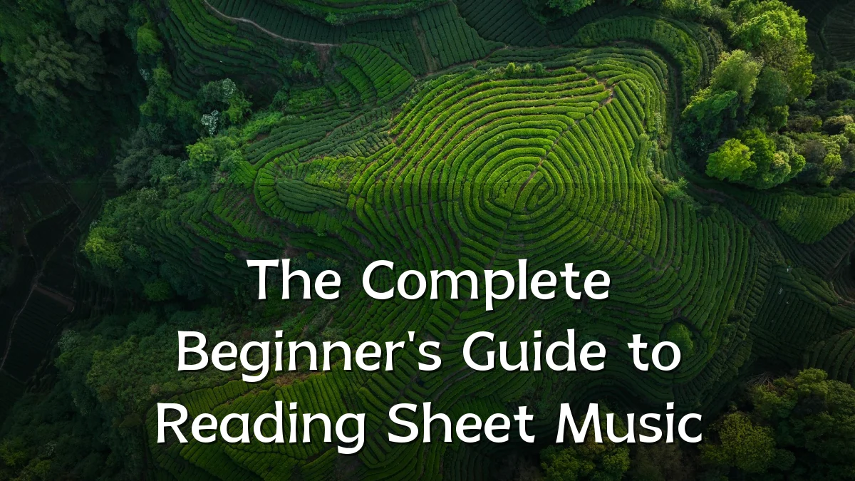 The Complete Beginner's Guide to Reading Sheet Music