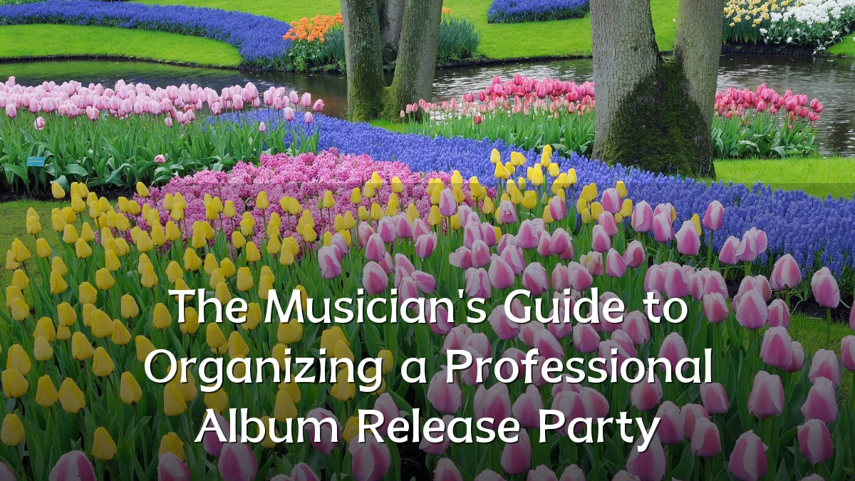 The Musician's Guide to Organizing a Professional Album Release Party