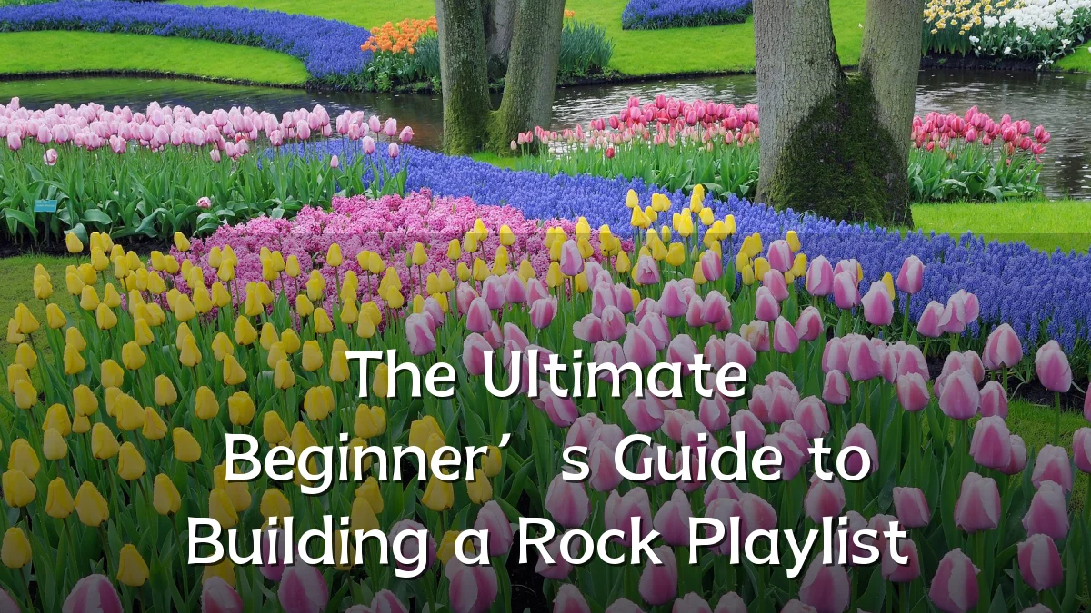 The Ultimate Beginner’s Guide to Building a Rock Playlist