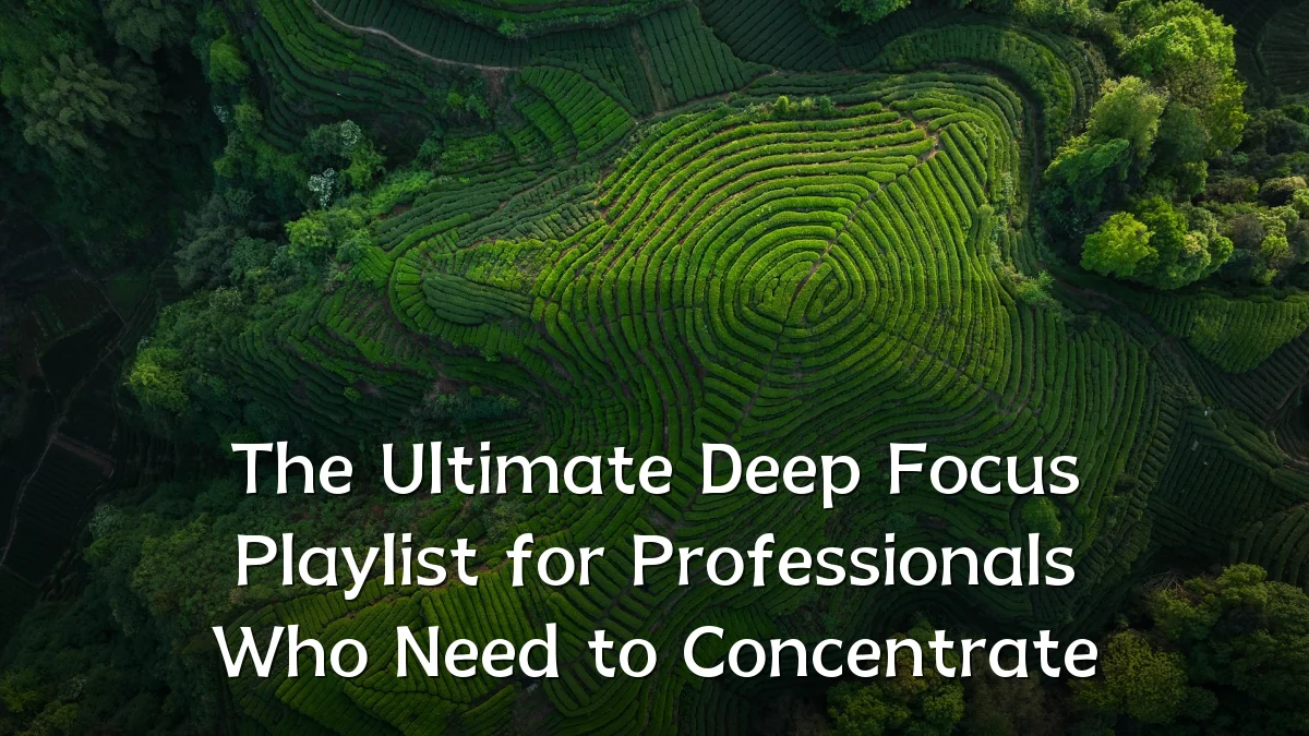 The Ultimate Deep Focus Playlist for Professionals Who Need to Concentrate