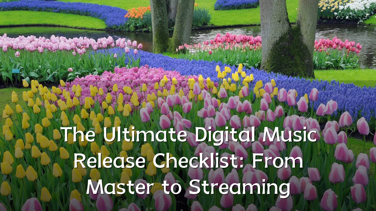 The Ultimate Digital Music Release Checklist: From Master to Streaming
