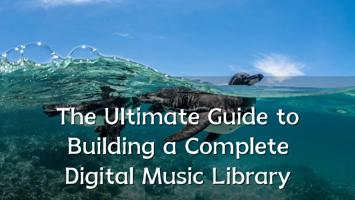 The Ultimate Guide to Building a Complete Digital Music Library